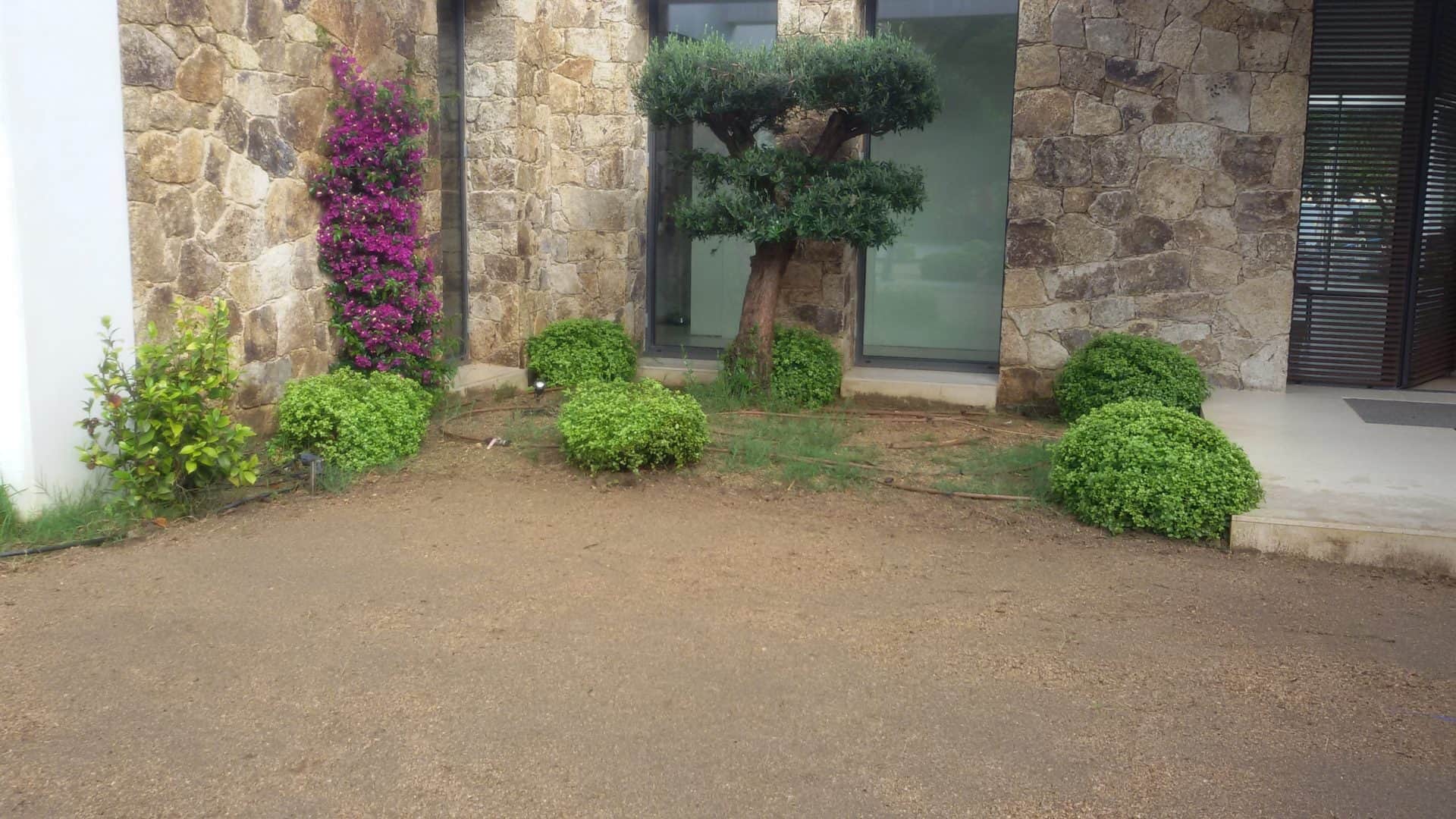 Réalisation dun jardin avec le gazon en rouleau prêt à poser Paspalum