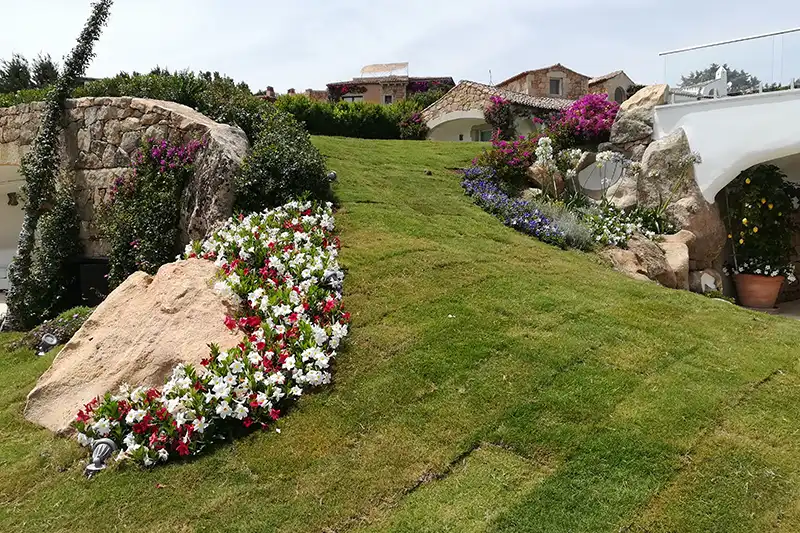 Créer un jardin avec une pelouse - cynodon tifway et paspatum gold